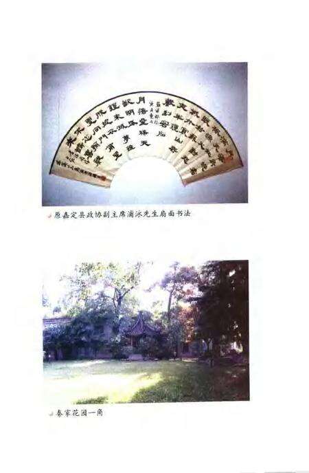 2010-嘉定文史资料  第21辑.pdf电子版_上海市志预览图5