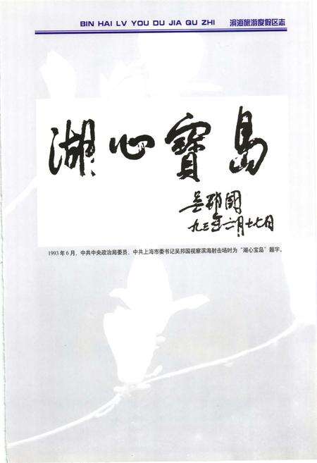 2011-上海南汇滨海旅游度假区志.pdf电子版_上海市志预览图5