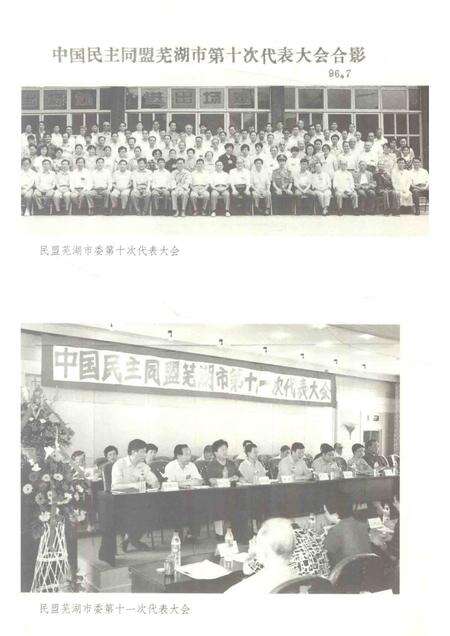2013版芜湖民盟史.pdf电子版_安徽省志预览图5