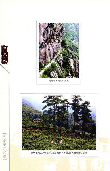 2015版徽州文化史  先秦至元代卷.pdf电子版_安徽省志预览图5