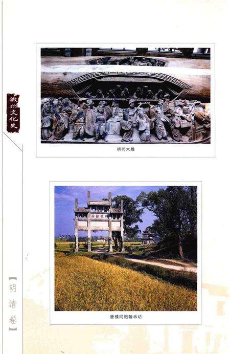 2015版徽州文化史  明清卷.pdf电子版_安徽省志预览图5