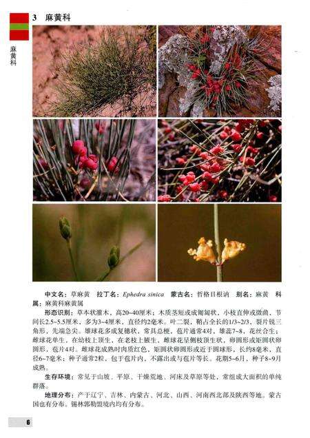2016-内蒙古自治区锡林郭勒盟木本植物图鉴.pdf电子版_内蒙古志预览图5