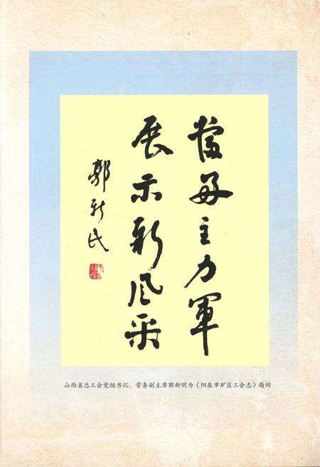2016-阳泉市矿区工会志.pdf电子版_山西省志预览图5