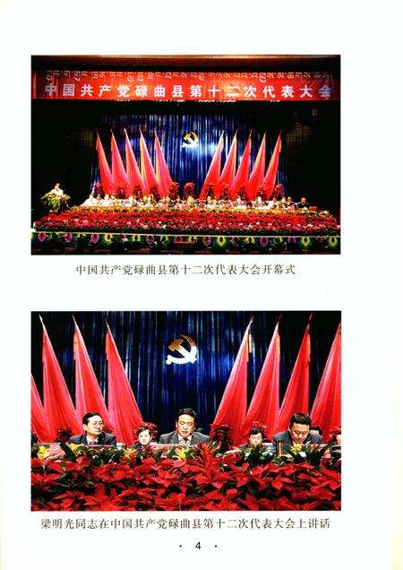 中国共产党碌曲简史.pdf电子版_甘肃省志预览图5