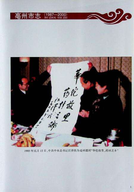 亳州市志（1987-2000）.pdf电子版_安徽省志预览图5