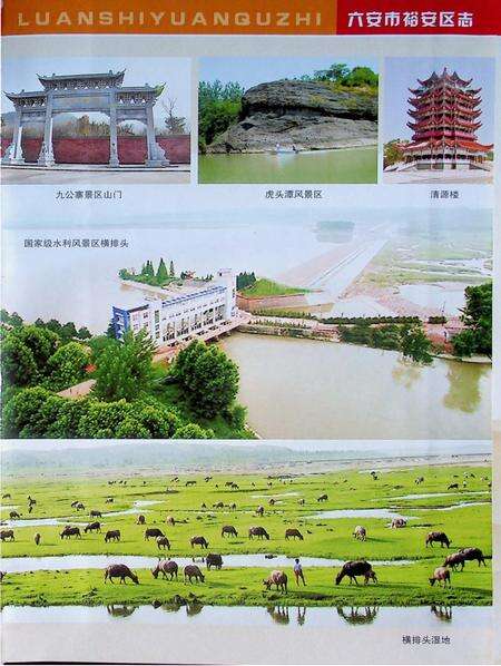 六安市裕安区志（1999-2008).pdf电子版_安徽省志预览图5