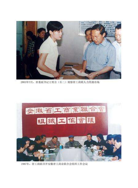 安徽省志工商业联合会志.pdf电子版_安徽省志预览图5