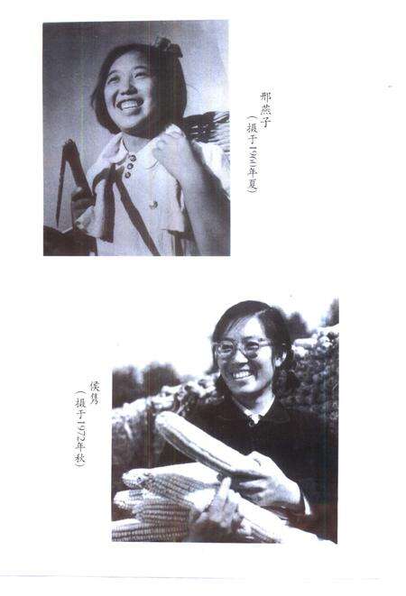 宝坻文史集萃.pdf电子版_天津市志预览图5