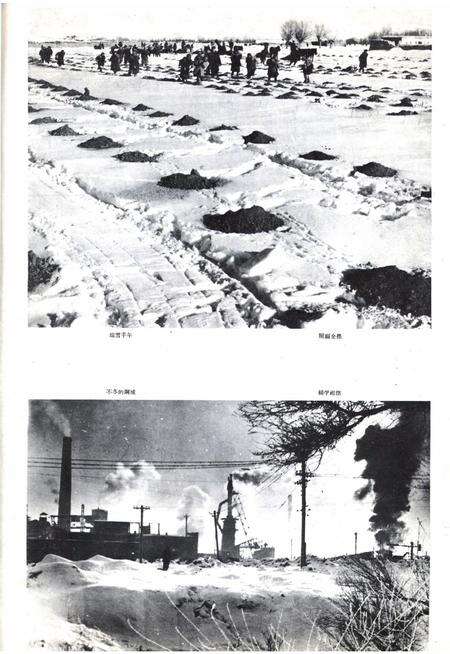 新疆画报1962年第01期.pdf电子版_新疆维吾尔族自治区志预览图5