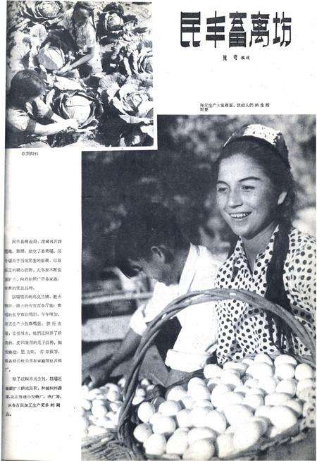 新疆画报1962年第04期.pdf电子版_新疆维吾尔族自治区志预览图5