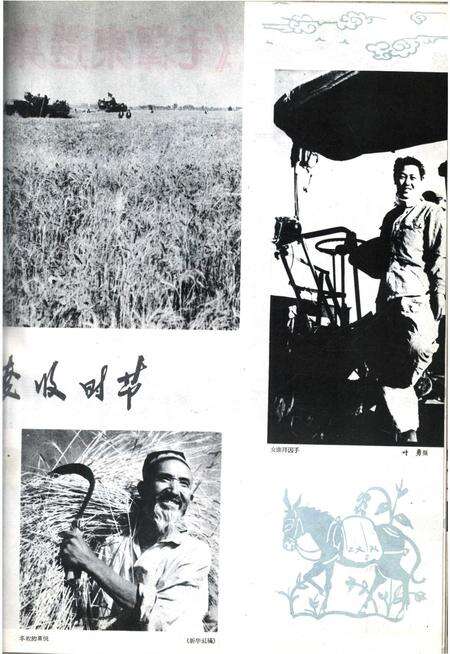 新疆画报1962年第07期.pdf电子版_新疆维吾尔族自治区志预览图5