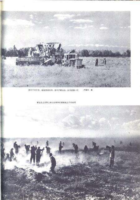 新疆画报1964年第02期.pdf电子版_新疆维吾尔族自治区志预览图5
