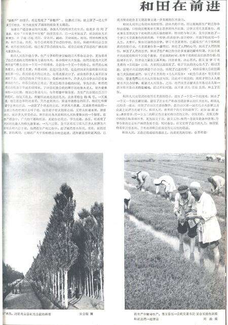新疆画报1964年第04期.pdf电子版_新疆维吾尔族自治区志预览图5