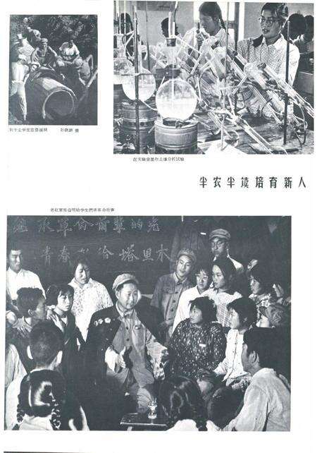 新疆画报1964年第06期.pdf电子版_新疆维吾尔族自治区志预览图5
