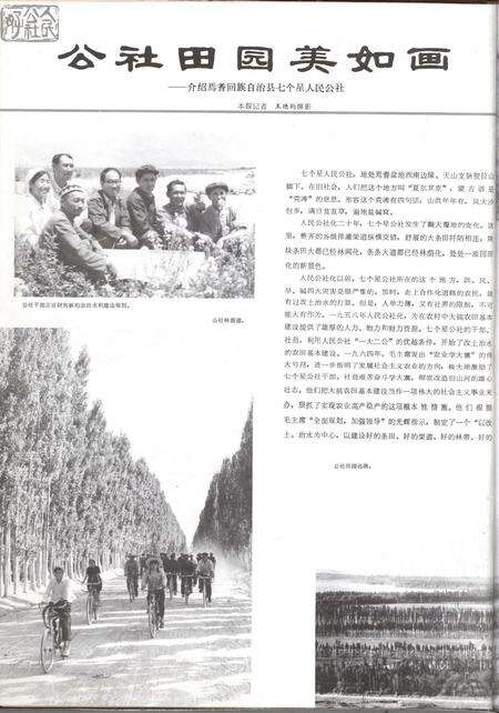 新疆画报1979年第01期.pdf电子版_新疆维吾尔族自治区志预览图5