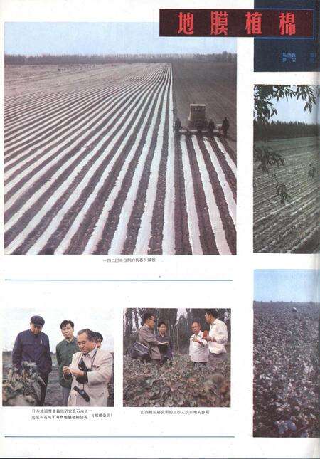 新疆画报1982年第05期.pdf电子版_新疆维吾尔族自治区志预览图5