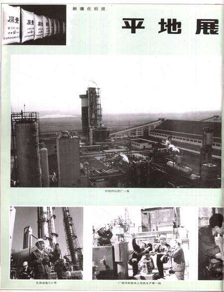 新疆画报1986年第01期.pdf电子版_新疆维吾尔族自治区志预览图5