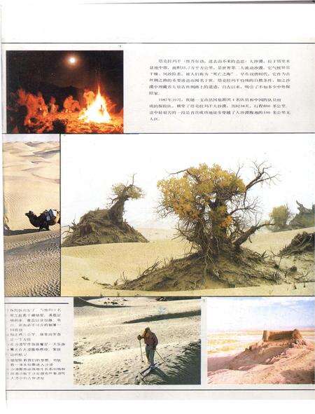 新疆画报1988年第02期.pdf电子版_新疆维吾尔族自治区志预览图5