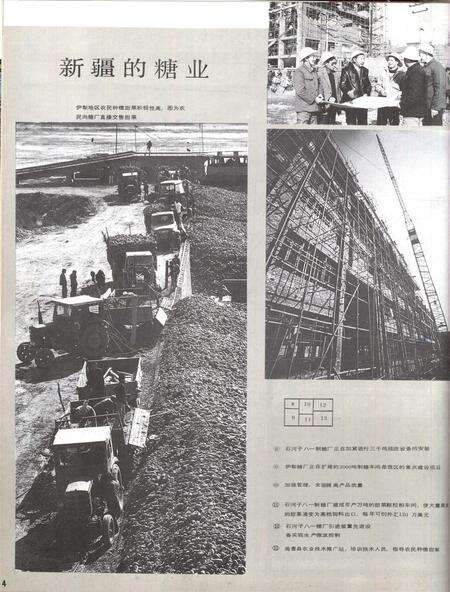 新疆画报1989年第01期.pdf电子版_新疆维吾尔族自治区志预览图5