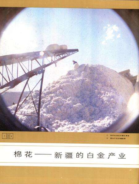 新疆画报1989年第02期.pdf电子版_新疆维吾尔族自治区志预览图5
