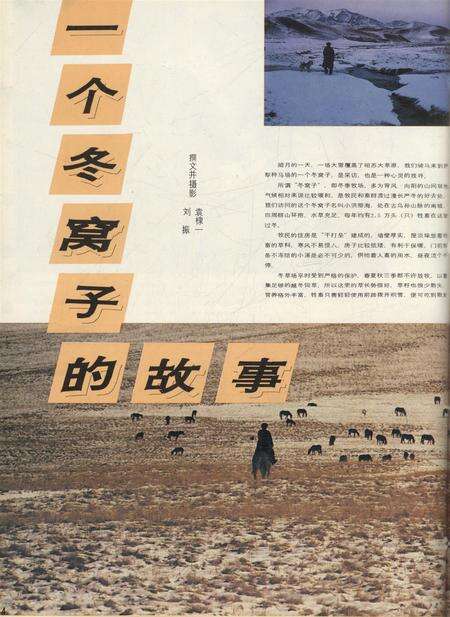 新疆画报1990年第04期.pdf电子版_新疆维吾尔族自治区志预览图5