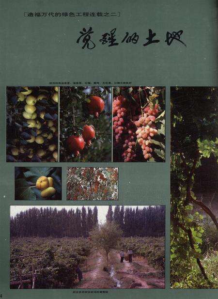新疆画报1992年第04期.pdf电子版_新疆维吾尔族自治区志预览图5
