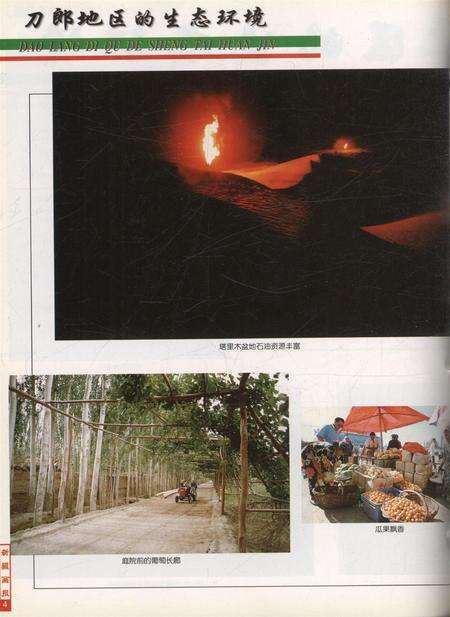 新疆画报2001年第03期.pdf电子版_新疆维吾尔族自治区志预览图5