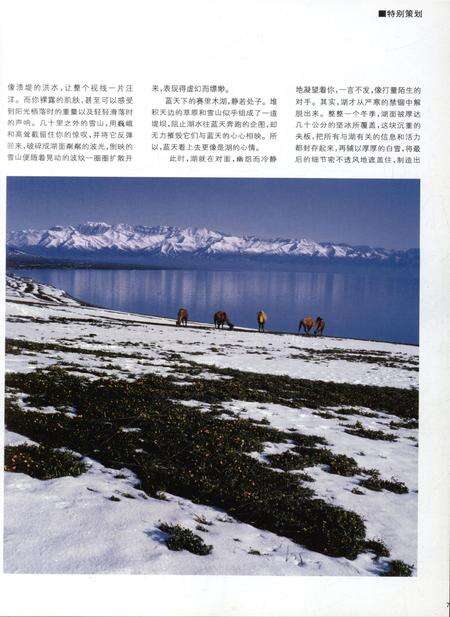新疆画报2009年第05期.pdf电子版_新疆维吾尔族自治区志预览图5