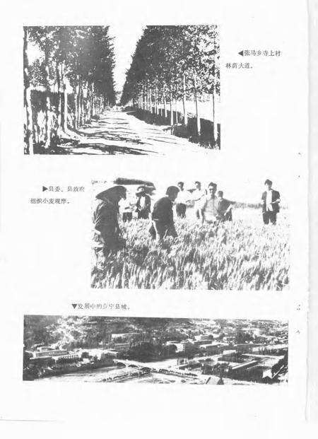 -乡宁年鉴  1985.pdf电子版_山西省志预览图5