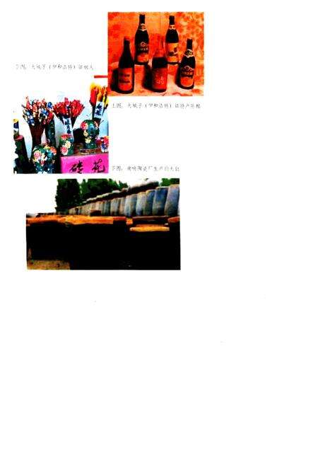 1985-喀喇沁左翼蒙古族自治县概况.pdf电子版_辽宁省志预览图5