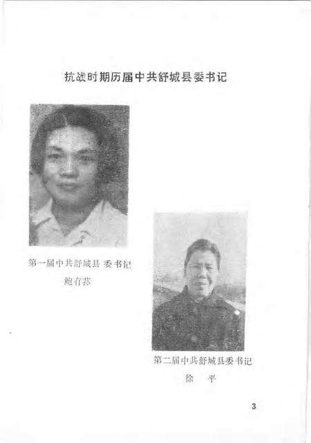 1985版舒城县革命史资料  抗日战争时期.pdf电子版_安徽省志预览图5