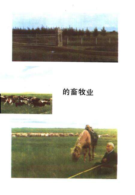 1986-鄂温克族自治旗社会经济发展概况  1981-1985.pdf电子版_内蒙古志预览图5