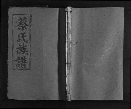 江西蔡氏族谱-蔡氏大成族谱.pdf电子版缩略图