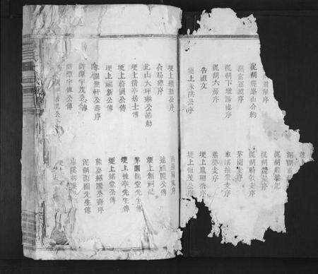 江西蔡氏族谱-蔡氏大成族谱[不分卷].pdf电子版预览图2