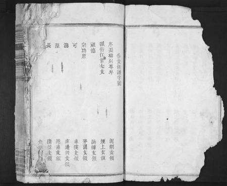 江西蔡氏族谱-蔡氏大成族谱[不分卷].pdf电子版预览图5