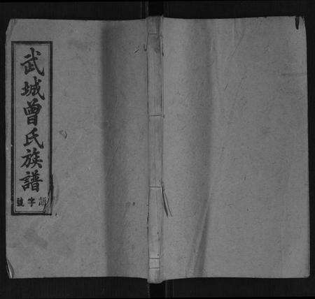 湖南曾氏族谱-武城曾氏族谱.pdf电子版缩略图