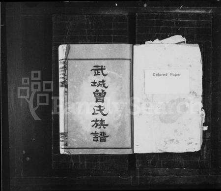 湖南曾氏族谱-武城曾氏族谱 [20卷].pdf电子版预览图1