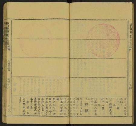 湖南曾氏族谱-武城曾氏族谱 [不分卷].pdf电子版预览图3