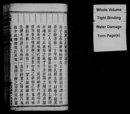 浙江王氏族谱-五云王氏宗谱 [11卷].pdf电子版预览图2