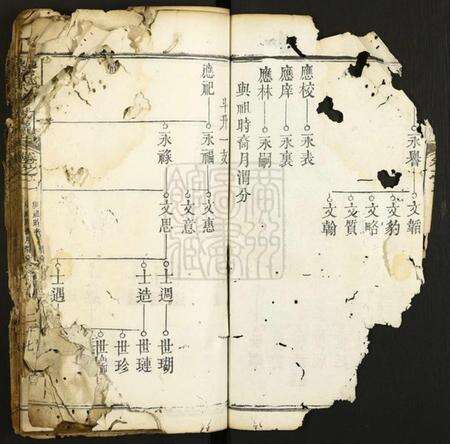 湖北蔡氏族谱-蔡氏八修族谱.pdf电子版预览图2