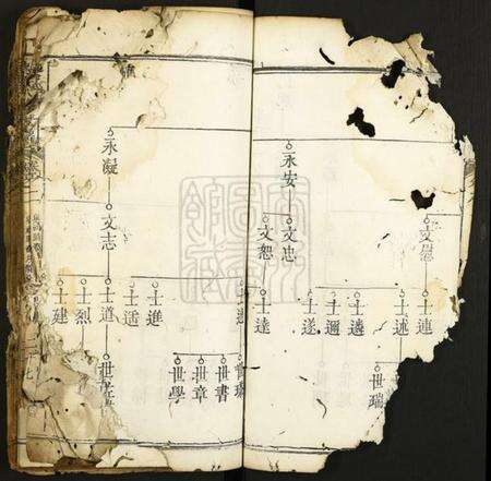 湖北蔡氏族谱-蔡氏八修族谱.pdf电子版预览图3