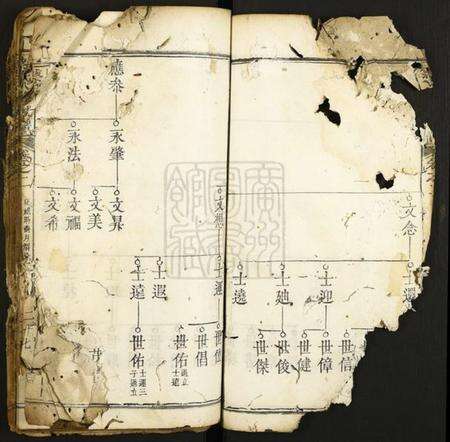 湖北蔡氏族谱-蔡氏八修族谱.pdf电子版预览图4