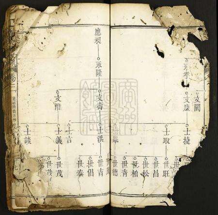 湖北蔡氏族谱-蔡氏八修族谱.pdf电子版预览图5