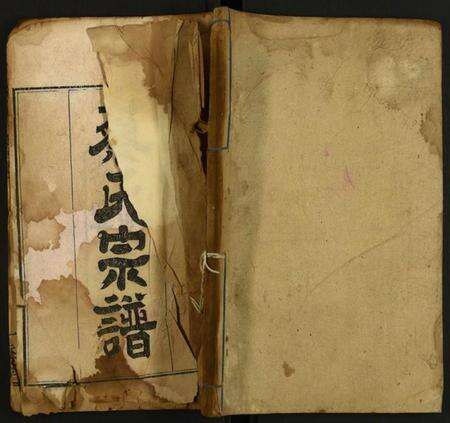 湖北蔡氏族谱-蔡氏宗谱.pdf电子版缩略图