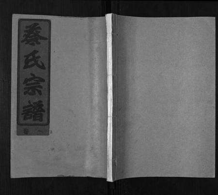 湖北蔡氏族谱-蔡氏宗谱[22卷].pdf电子版缩略图