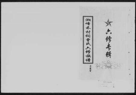 湖南曾氏族谱-湘峰禾村祠曾氏六修族谱 [文卷9卷,首1卷,丁卷共19卷].pdf电子版预览图5