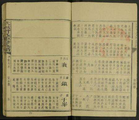 湖南曾氏族谱-武城曾氏重修族谱 [不分卷].pdf电子版预览图5