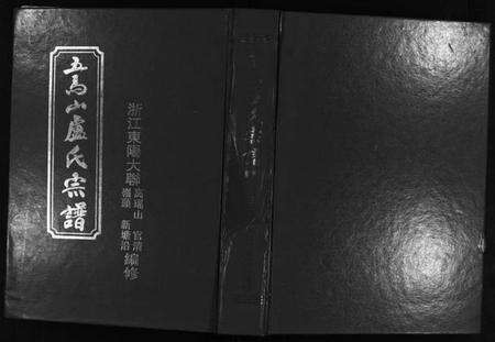 浙江卢氏族谱-五马山卢氏宗谱.pdf电子版缩略图