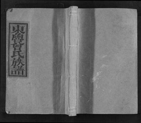 江西曾氏族谱-宁都曾坊村曾氏十一修族谱[不分卷].pdf电子版缩略图