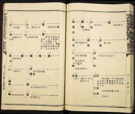 江西曾氏族谱-宁都县东鲁社溪曾氏十修族谱.pdf电子版预览图3